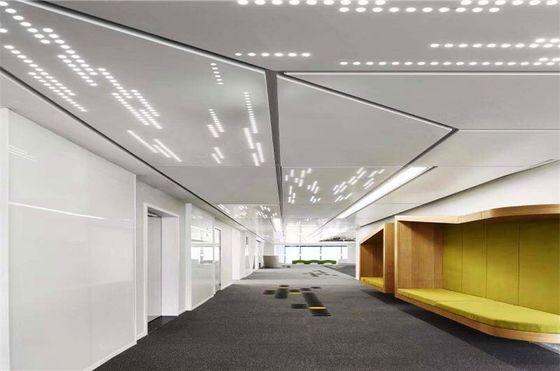 購入 2022 高品質の外壁 建築用 孔付き金属 アルミ製 玄関 覆いパネル online manufacture