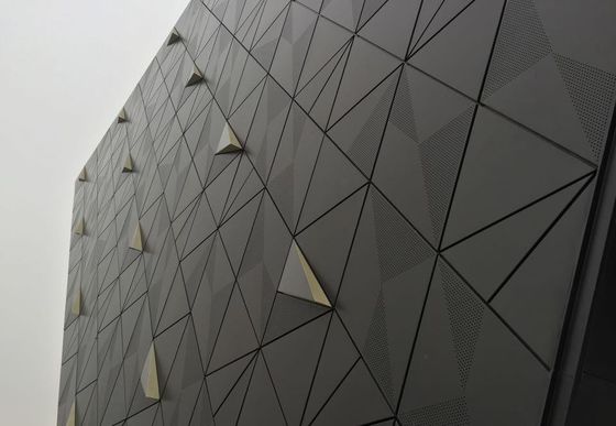 孔穴 拡張金属網 玄関網 覆い 金属網 プレート 拡張網 メタルカーテン 玄関板